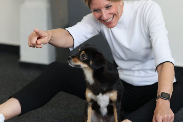 Brownie (Bürohündin bei Care Rockets)
